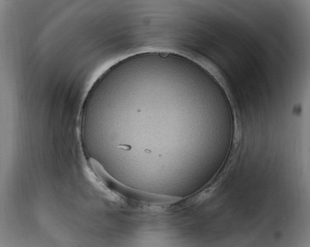 X0000115650958200911241731