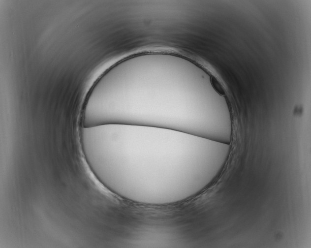 X0000115650959200911241731