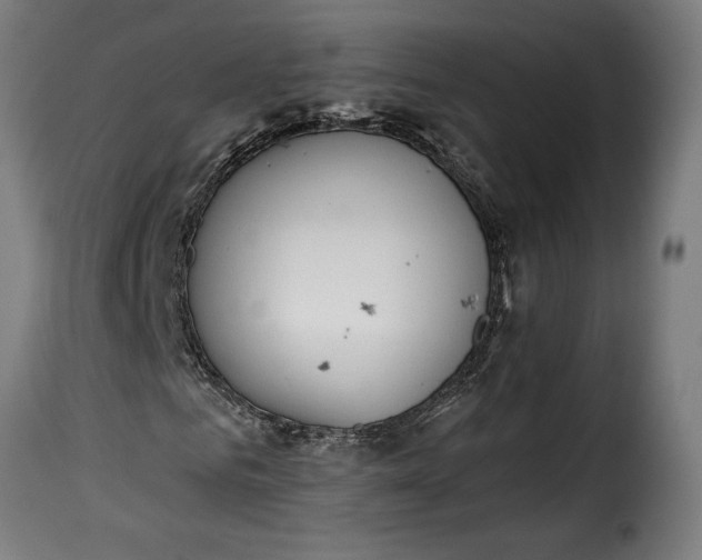 X0000115650961200911241730