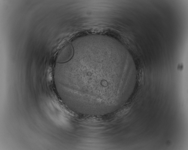 X0000115650962200911241730