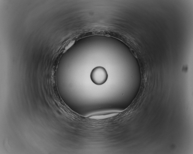 X0000115650964200911241730