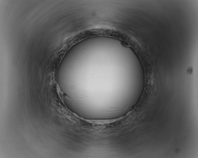 X0000115650965200911241730