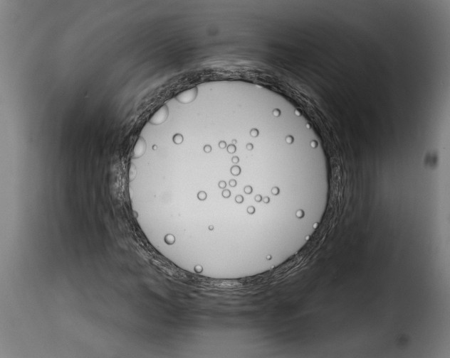 X0000115650966200911241730