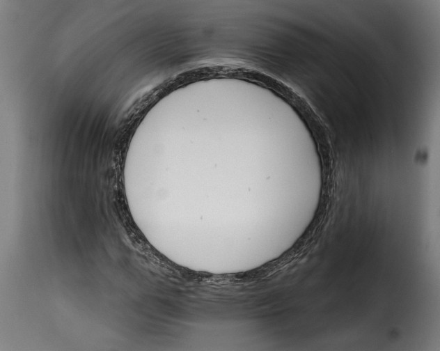 X0000115650967200911241730