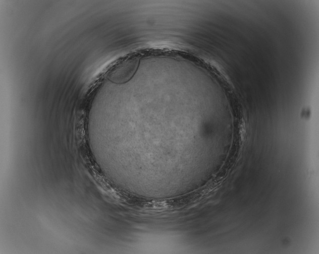 X0000115650968200911241730