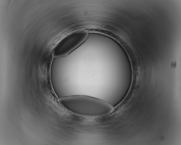 X0000115650969200911241730