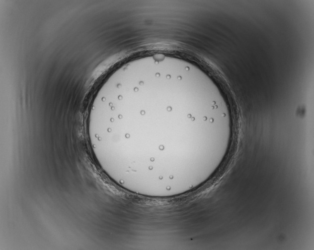 X0000115650970200911241730