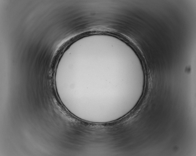 X0000115650971200911241730