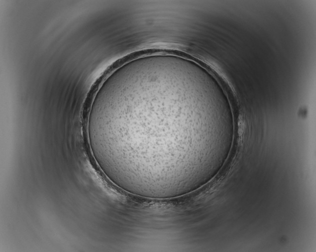 X0000115650972200911241730