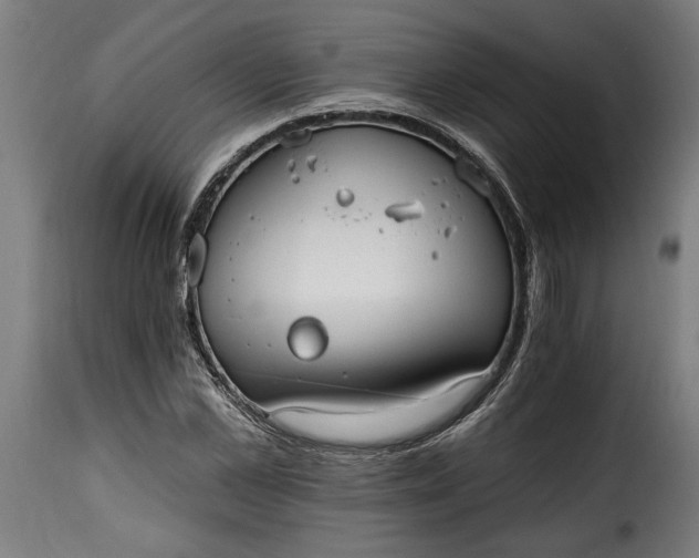 X0000115650973200911241730