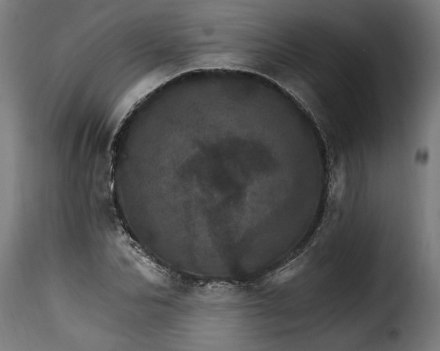 X0000115650974200911241730