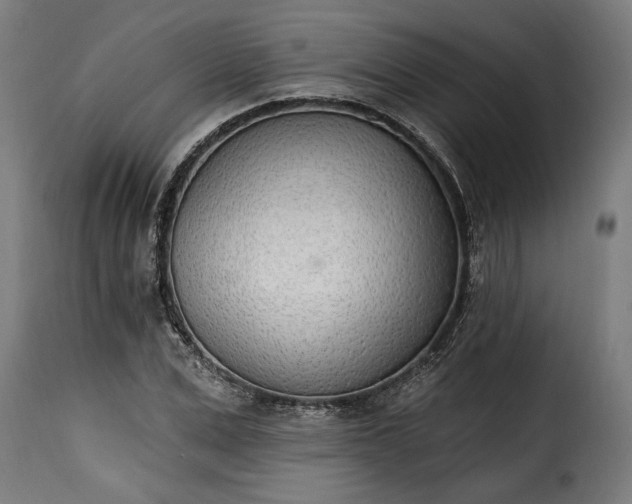 X0000115650975200911241730