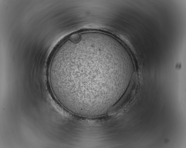 X0000115650976200911241730