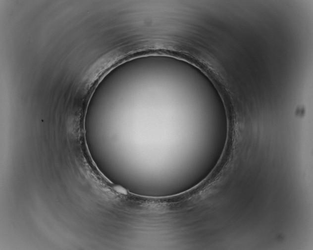 X0000115650977200911241730