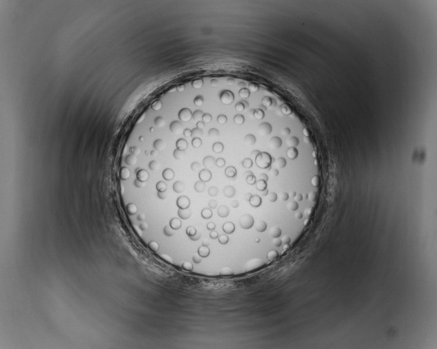 X0000115650978200911241730