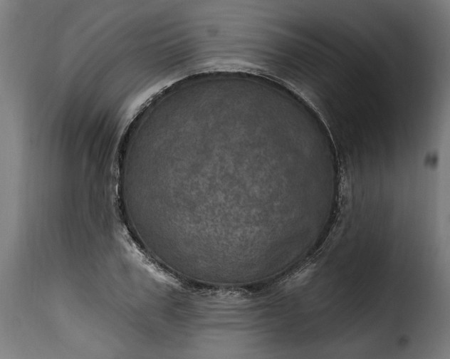 X0000115650979200911241730