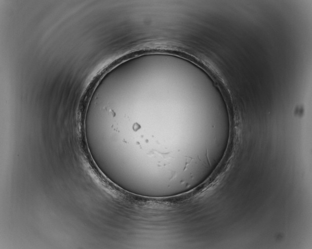 X0000115650981200911241730