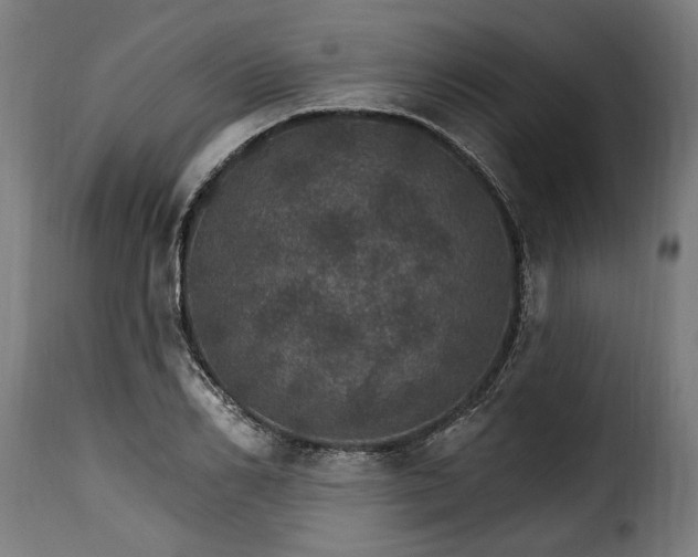 X0000115650982200911241730