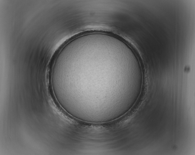 X0000115650983200911241730