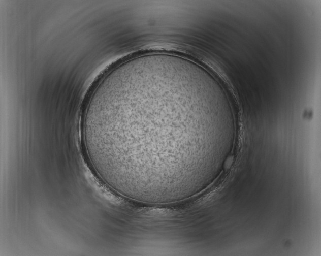 X0000115650984200911241730