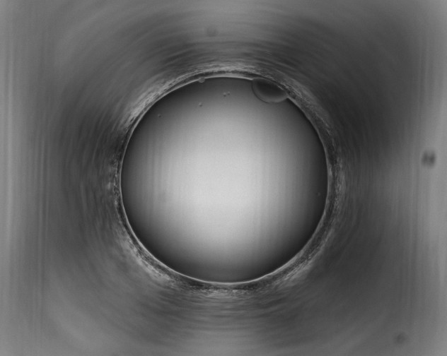 X0000115650985200911241730