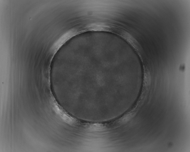 X0000115650986200911241730