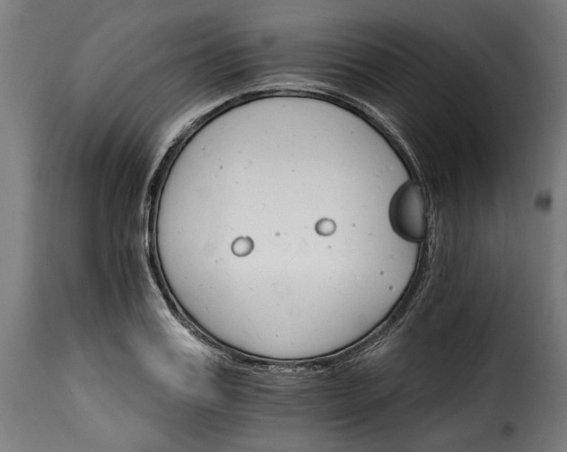 X0000115650987200911241730