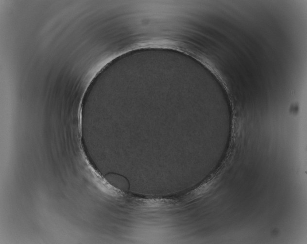 X0000115650988200911241730