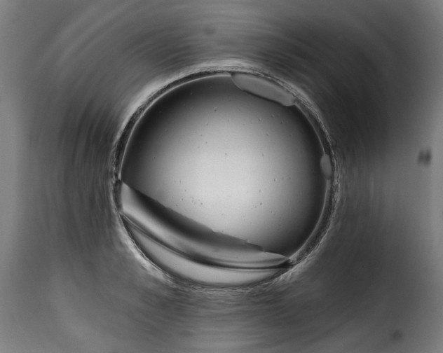 X0000115650989200911241730