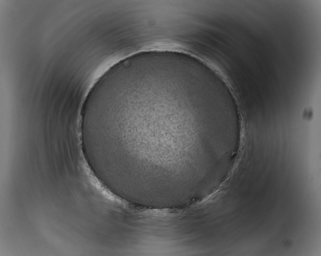 X0000115650990200911241730