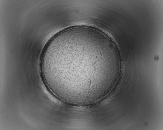 X0000115650991200911241730