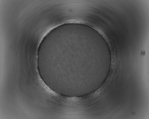 X0000115650992200911241730