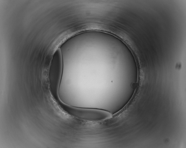 X0000115650993200911241730