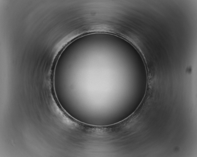 X0000115650995200911241730