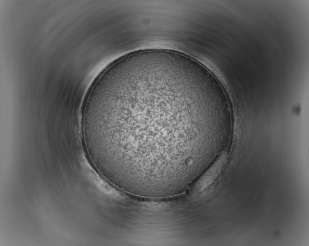 X0000115650996200911241730