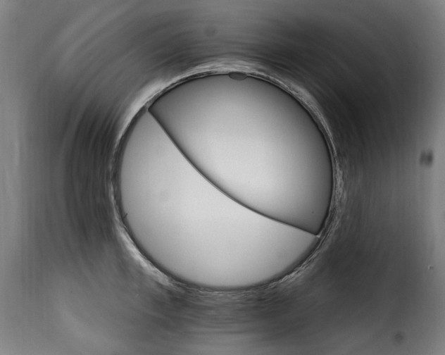 X0000115650997200911241730