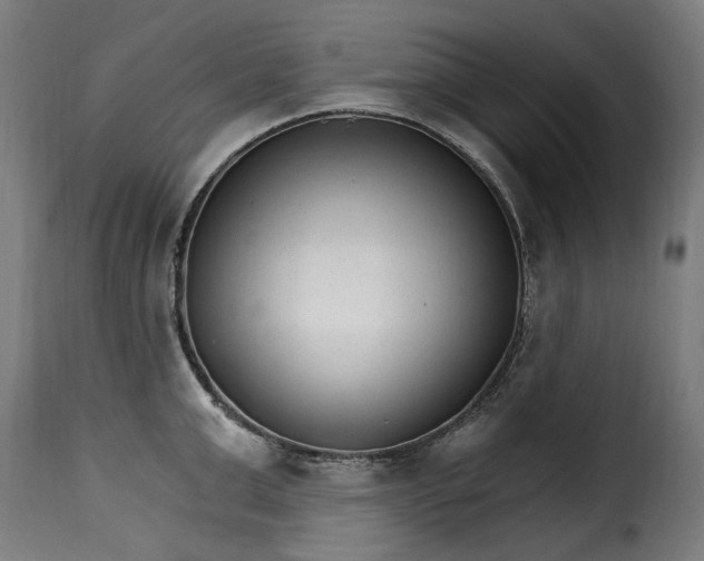 X0000115650999200911241730