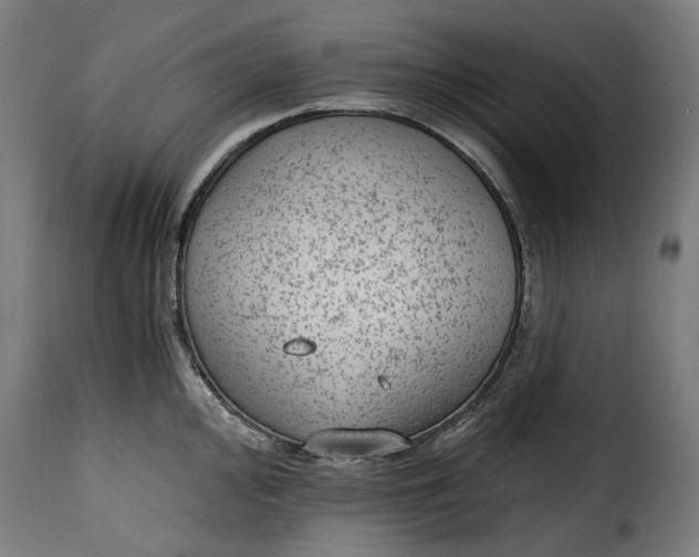 X0000115651000200911241730