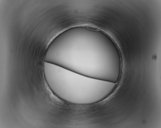 X0000115651001200911241729