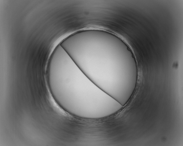 X0000115651003200911241729