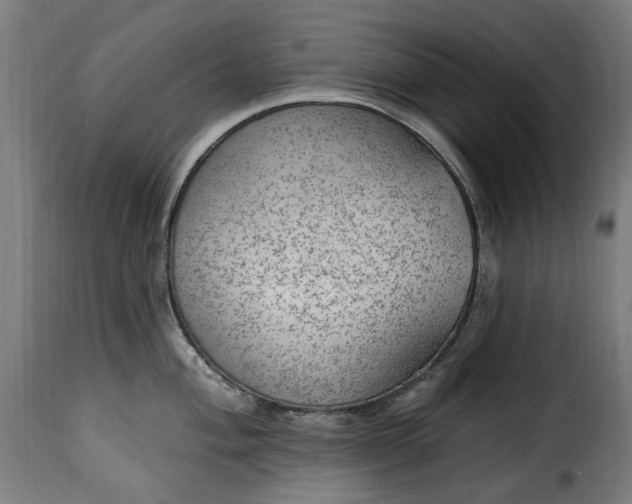 X0000115651004200911241729