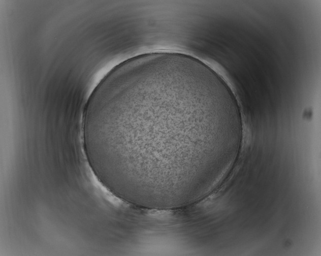 X0000115651006200911241729