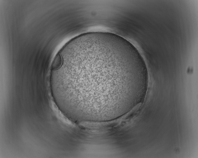 X0000115651008200911241729