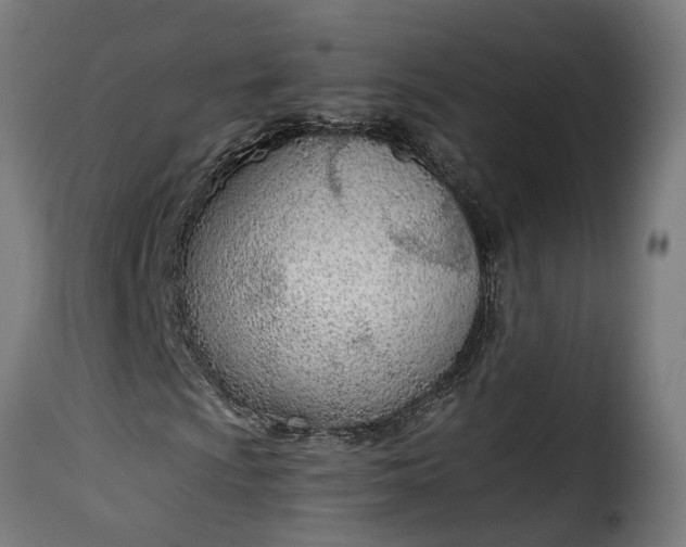 X0000115651009200911241729