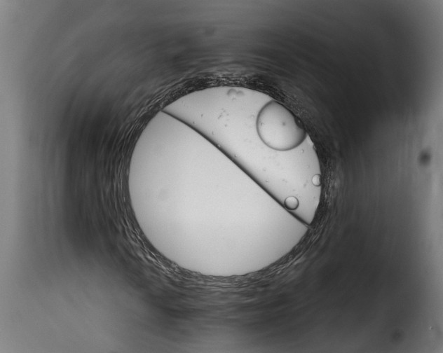 X0000115651010200911241729