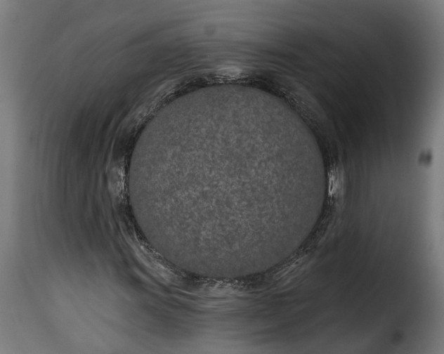 X0000115651011200911241729