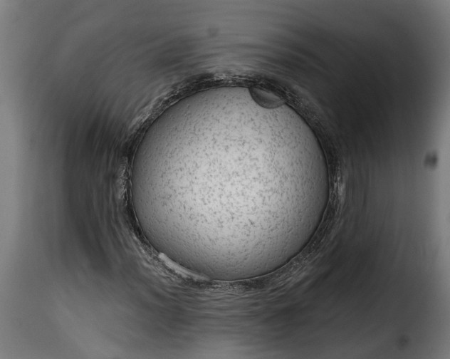 X0000115651012200911241729