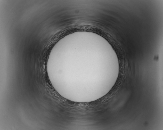 X0000115651013200911241729