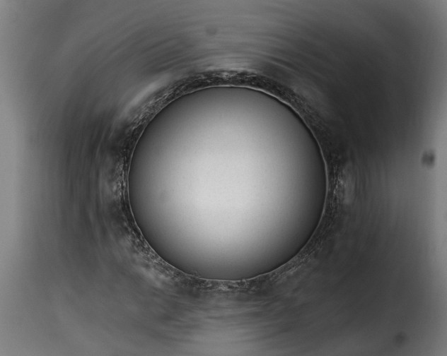 X0000115651014200911241729