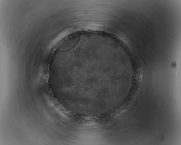 X0000115651015200911241729